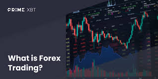 Unlocking Potential The Power of Trading with PrimeXBT Forex